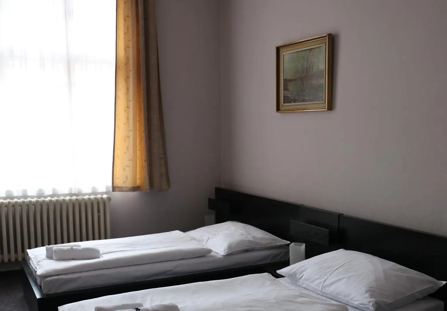 Hotel Zlata Stika Pardubice